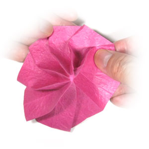 14th picture of origami clematis flower