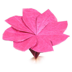 26th picture of origami clematis flower