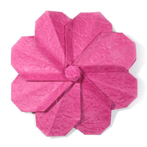 35th picture of origami cosmos flower