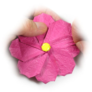 39th picture of origami cosmos flower