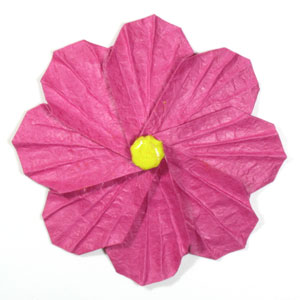 40th picture of origami cosmos flower