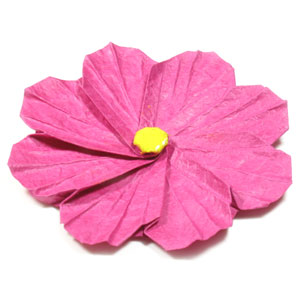 41th picture of origami cosmos flower