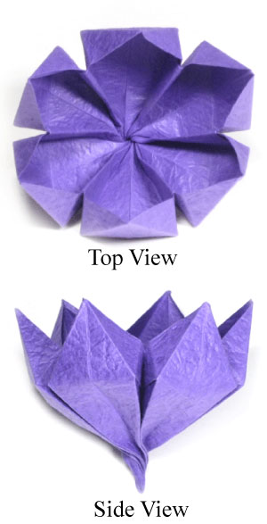 origami crocus flower