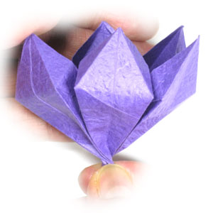 31th picture of origami crocus flower