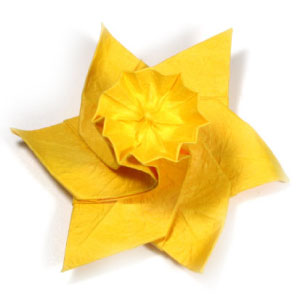 origami daffodil flower
