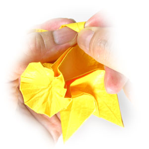 42th picture of origami daffodil flower