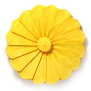 32th picture of origami daisy flower III