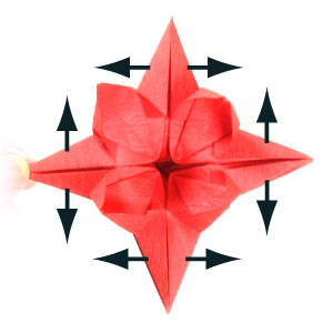46th picture of eight petals origami flower