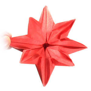 48th picture of eight petals origami flower