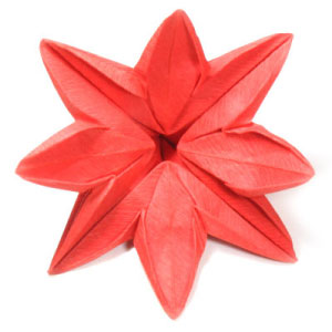 57th picture of eight petals origami flower