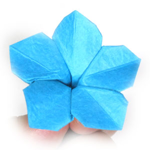 29th picture of origami forget-me-not flower