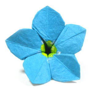 31th picture of origami forget-me-not flower
