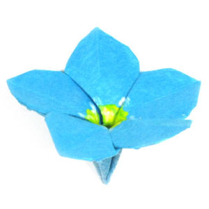 33th picture of origami forget-me-not flower