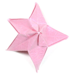 22th picture of origami frangipani flower