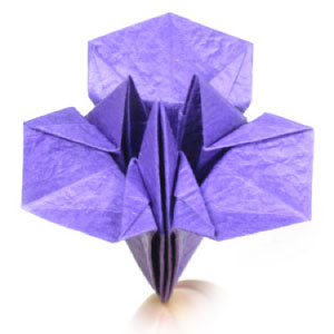 34th picture of simple origami iris flower
