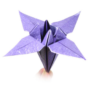 29th picture of classical origami iris flower
