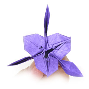 46th picture of origami iris flower