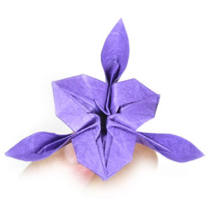 47th picture of origami iris flower