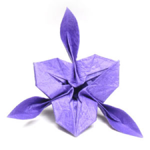 48th picture of origami iris flower