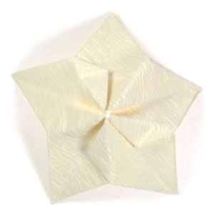 23th picture of origami jasmine flower