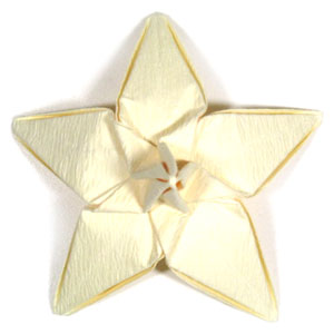 31th picture of origami jasmine flower