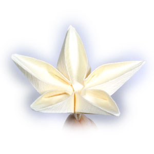 32th picture of origami jasmine flower