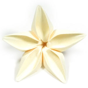 33th picture of origami jasmine flower