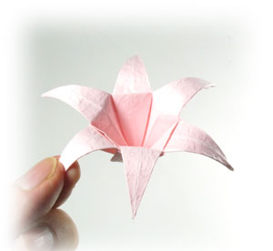 36th picture of six petals origami lily