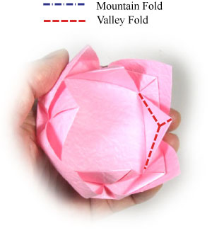 16th picture of easy origami lotus flower