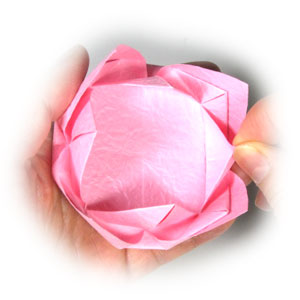 easy origami flower lotus