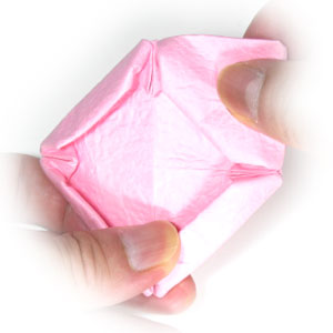 14th picture of new origami lotus flower