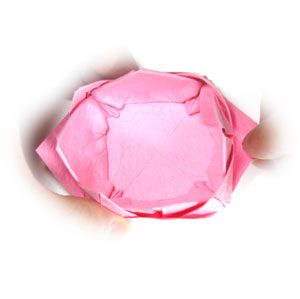 43th picture of new origami lotus flower