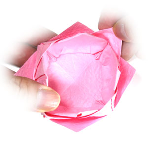45th picture of new origami lotus flower