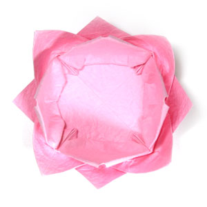 46th picture of new origami lotus flower