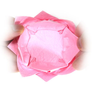 47th picture of new origami lotus flower