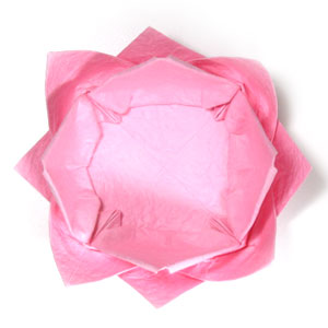 48th picture of new origami lotus flower