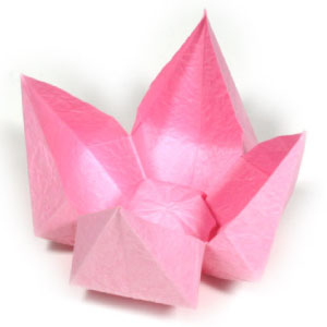 14th picture of simple origami lotus flower