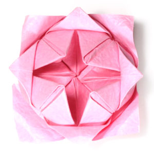 41th picture of traditional origami lotus flower