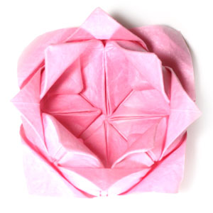 How to make a traditional origami lotus flower: page 23