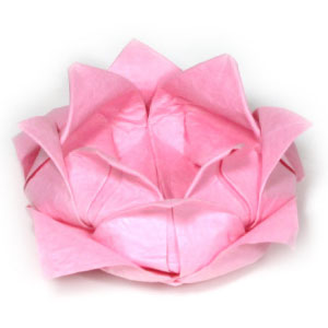 44th picture of traditional origami lotus flower