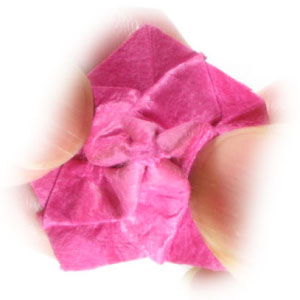 22th picture of origami flower, mirabilis jalapa (Four o' clock flower, Marvel of Peru)