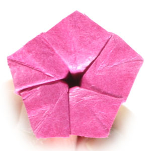 24th picture of origami flower, mirabilis jalapa (Four o' clock flower, Marvel of Peru)