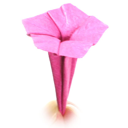 27th picture of origami flower, mirabilis jalapa (Four o' clock flower, Marvel of Peru)