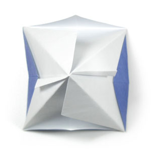 20th picture of origami morning glory