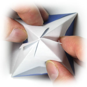 21th picture of origami morning glory
