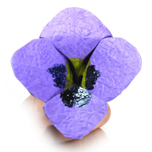 37th picture of origami pansy flower