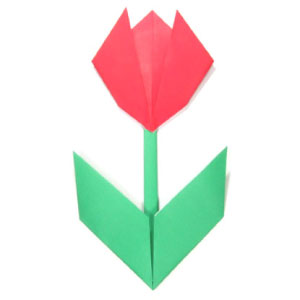 How to make an Origami paper tulip with stem and leaf