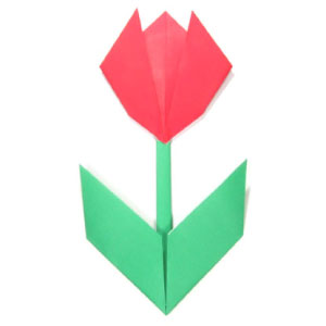 13th picture of easy origami tulip with two leaves II