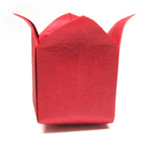 49th picture of origami tulip