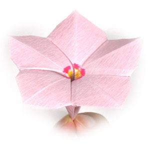 33th picture of origami vinca flower